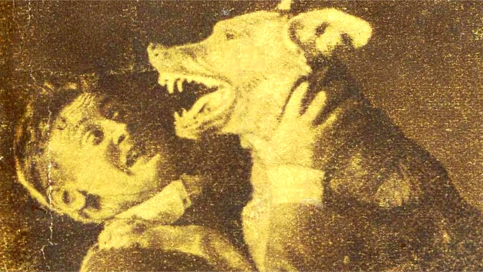 Restless Ghosts and Black Dogs: Was Black Vaughan Really as Evil as Rumour Tells?