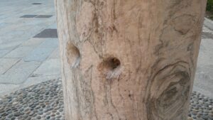 Devil's Column, Milan © 2016 Stefano Zocchi