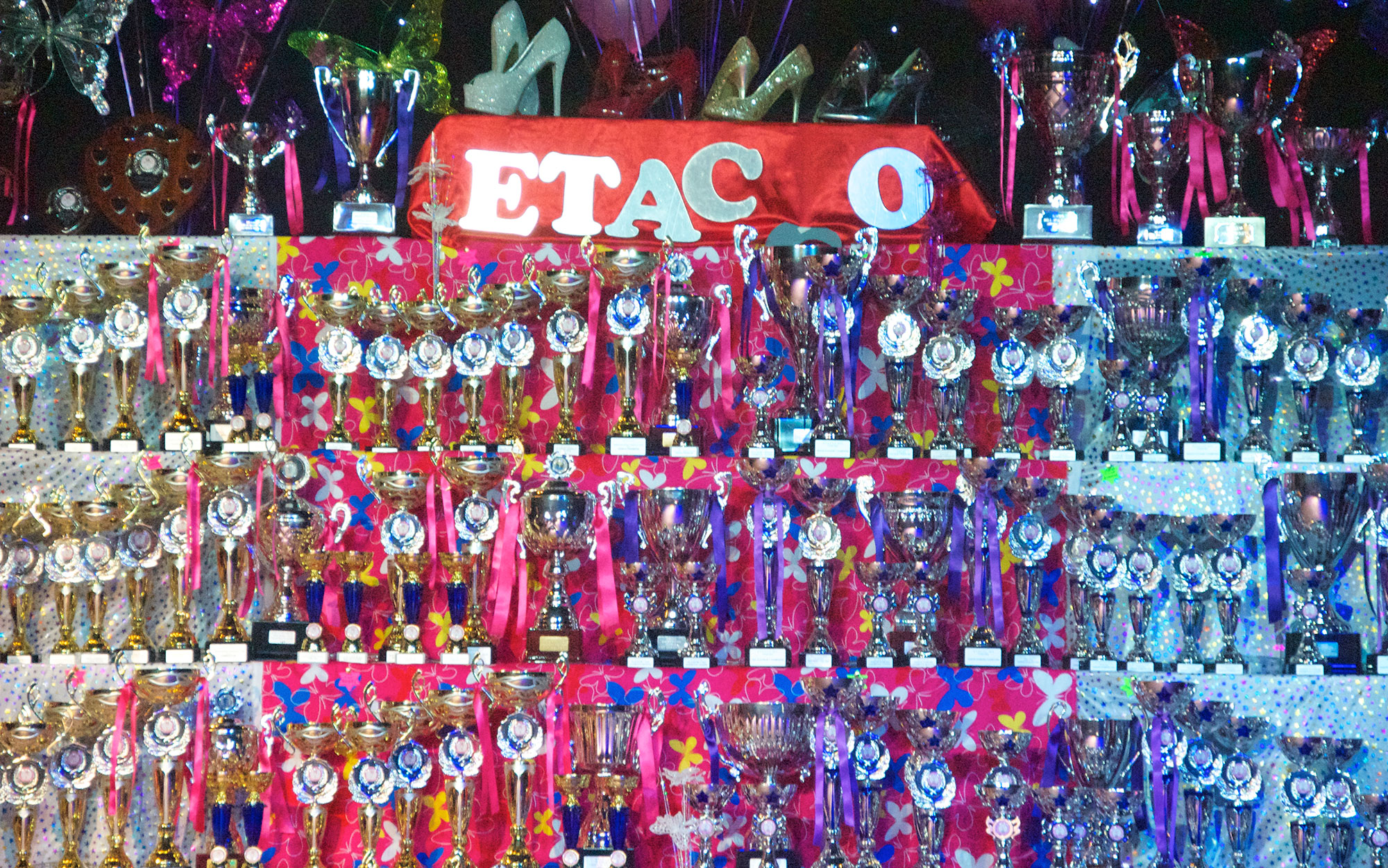 Trophies on display at ETACCO End of Season championships © 2013 L Wright