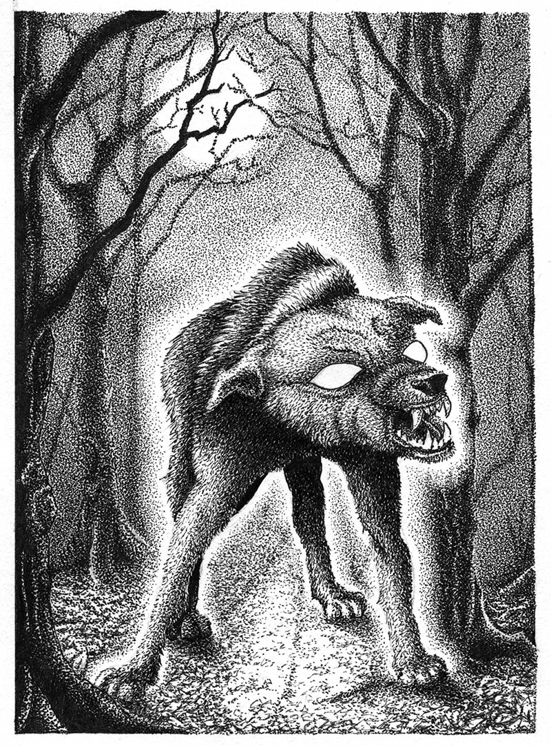 Artist’s impression of Shuck-type Black Dog, © Paul Atlas-Saunders, from From Black Dog Folklore by Mark Norman, published by Troy Books