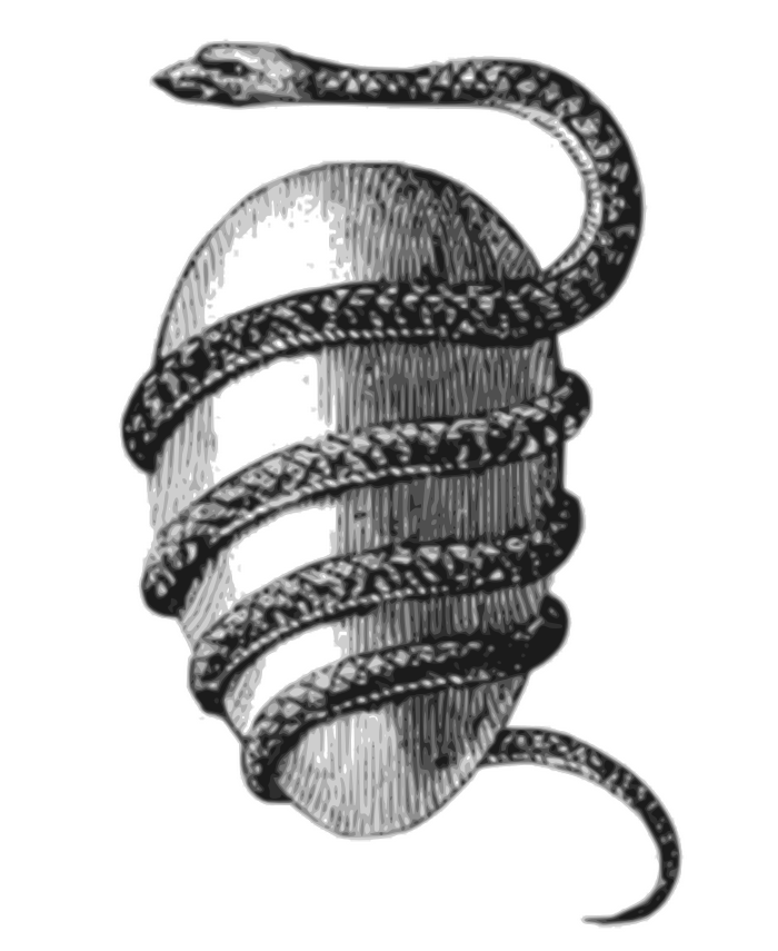 Jacob Bryant's Orphic Egg (1774). The Orphic Egg in a depiction by 18th-century mythographer Jacob Bryant. In the beliefs of the Ancient Greeks, this was the cosmic egg from which Phanes the god of procreation emerged.