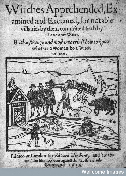 The Swimming of a Witch © Wellcome Library