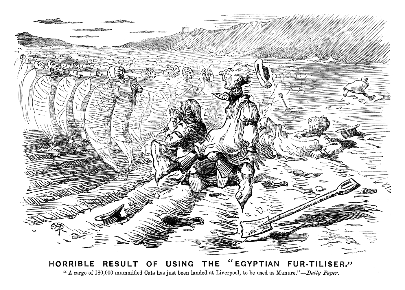 Horrible Result of Using the 'Egyptian Fur-tiliser.’ "A cargo of 180,000 mummified cats has just been landed at Liverpool, to be used as manure." - Daily Paper. Published in Punch 15 February 1890. By E T Reed © Punch Ltd