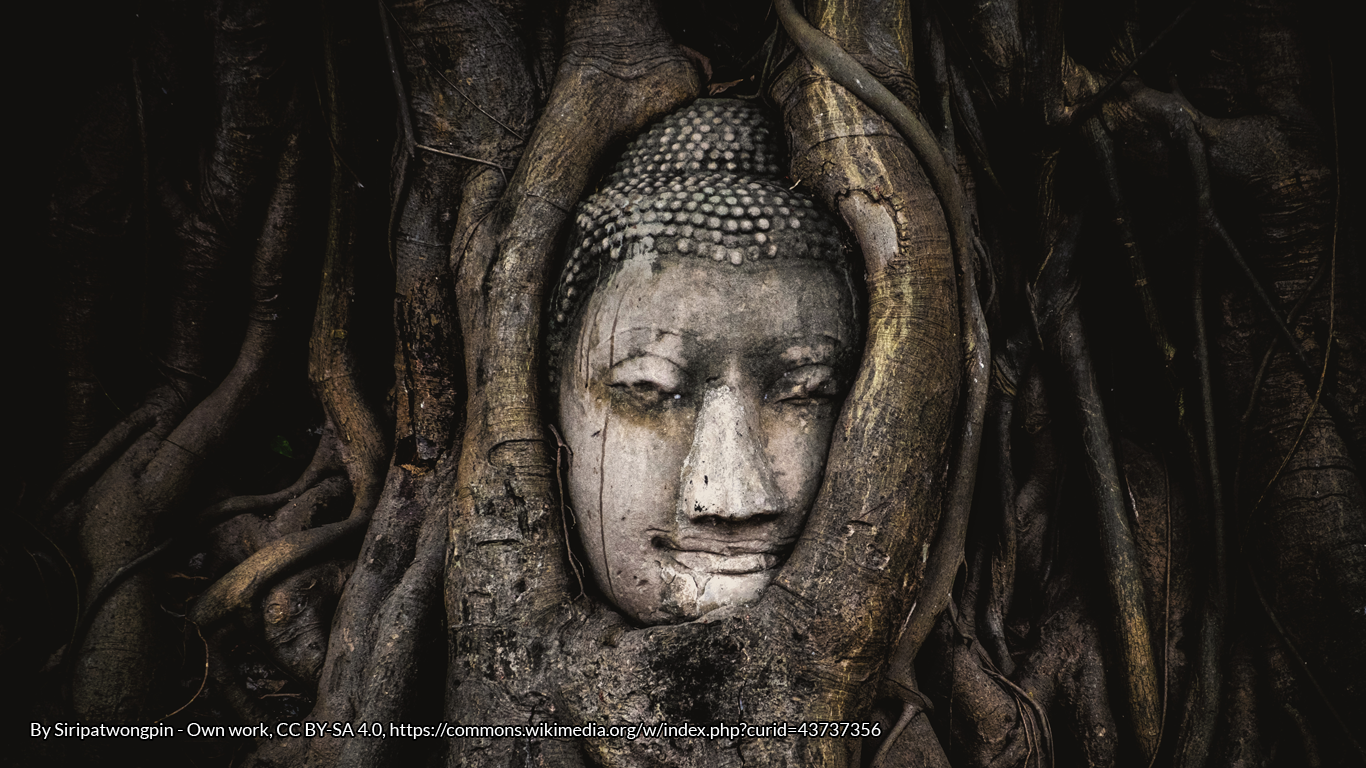 The head of a sandstone Buddha statue nestled in the roots of a fig tree at a temple in Thailand by Siripatwongpin - Own work, CC BY-SA 4.0, https://commons.wikimedia.org/w/index.php?curid=43737356