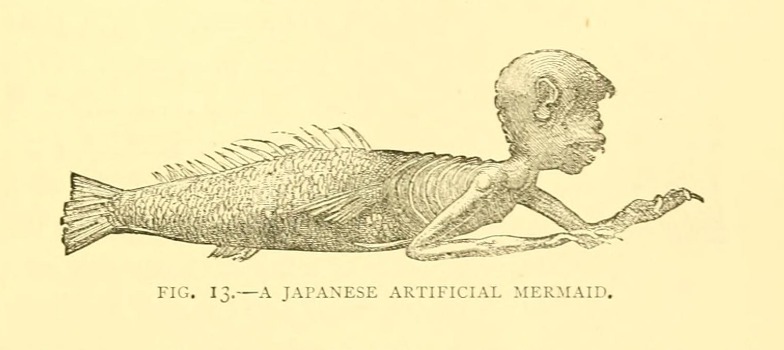 An illustration of a Japanese Artificial Mermaid from Sea Fables Explained by Henry Lee, 1883. https://commons.wikimedia.org/wiki/File:Sea_fables_explained_(15401445888).jpg