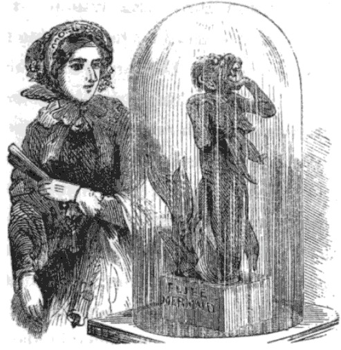 A Victorian lady examines P. T. Barnum’s Feejee Mermaid at the Boston Museum in 1857. https://commons.wikimedia.org/wiki/File:FeejeeMermaid_BostonMuseum_Midgley_SightsInBoston.png