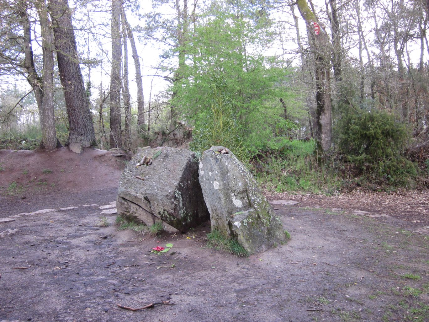 So-called Merlin’s tomb, Forest of Paimpont © Wendy Mewes