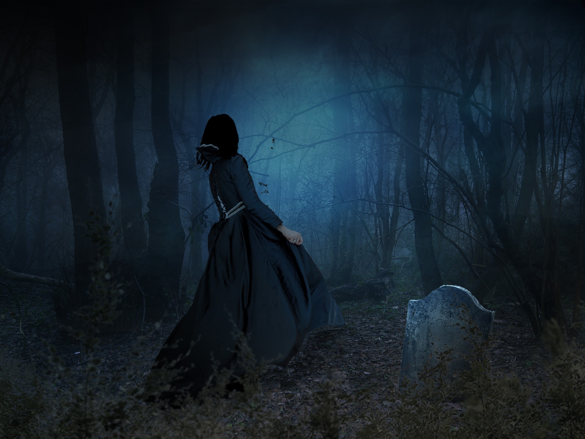 https://pixabay.com/en/scary-eerie-spooky-dark-fog-666620/