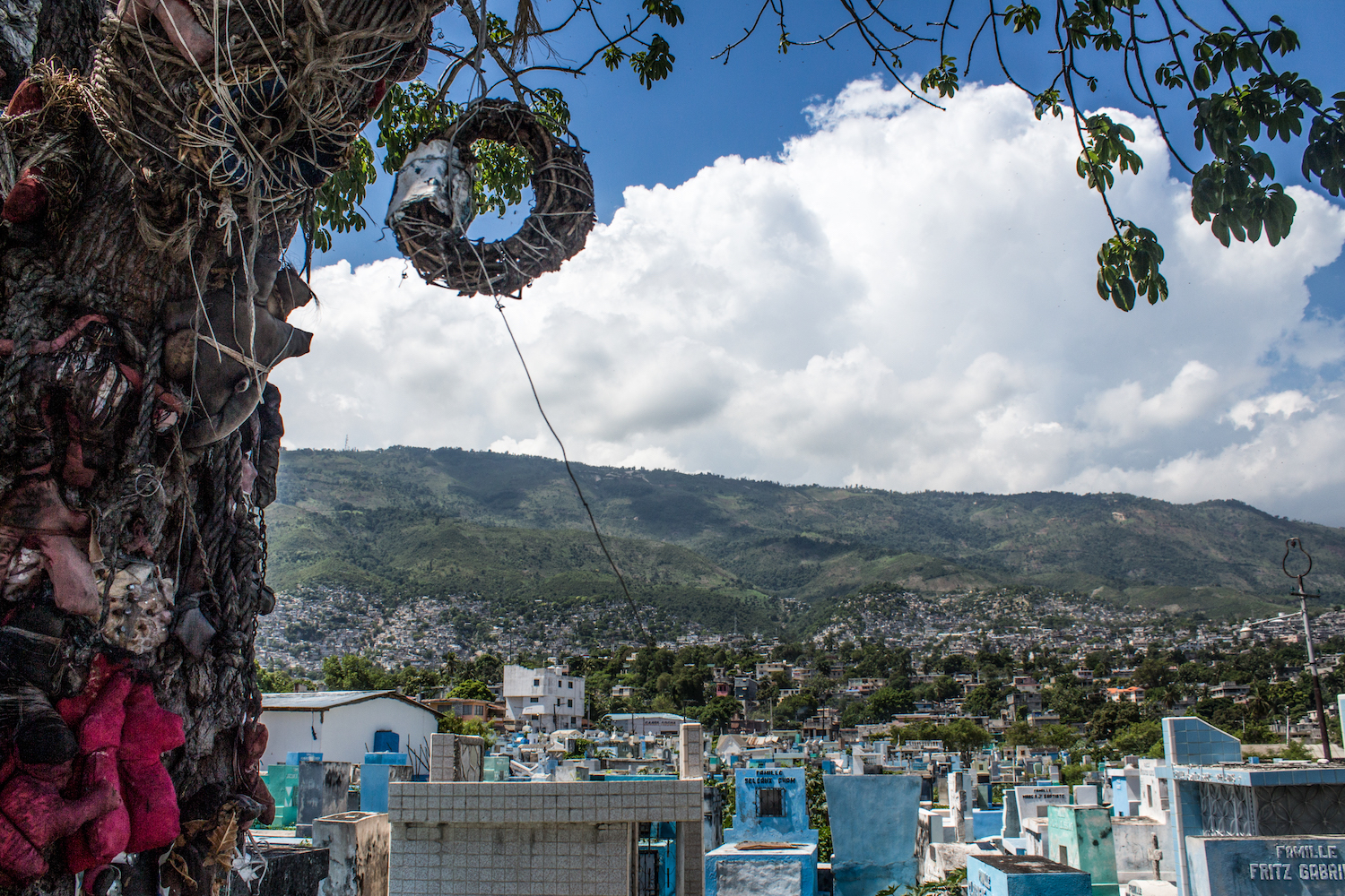 A tree at Le Grand Cimetière, festooned with Vodou dolls and offerings. © Darmon Richter http://www.thebohemianblog.com/2015/04/haitian-vodou-port-au-prince.html