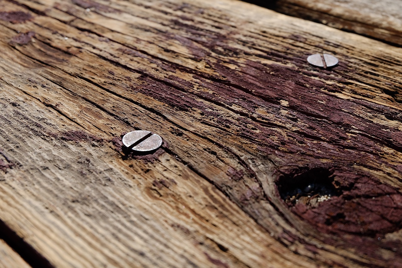 Photograph of old piece of wood with two screws