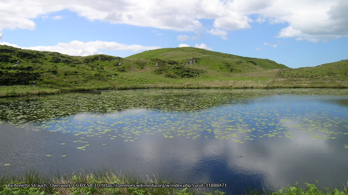 Welsh Lake Legends and Folklore: Llyn Barfog, the Female Dwellers of Annwn and King Arthur and the Afanc