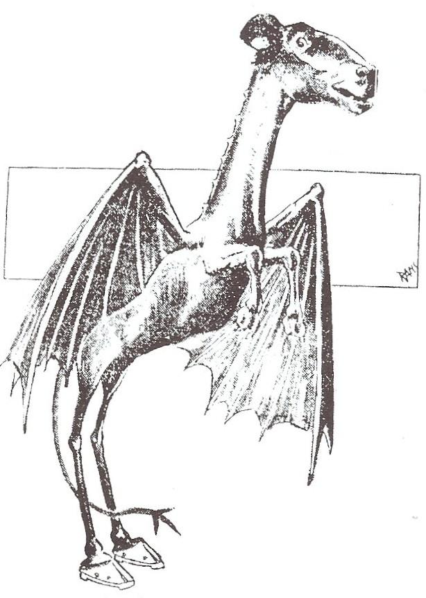 Illustration of the Jersey Devil