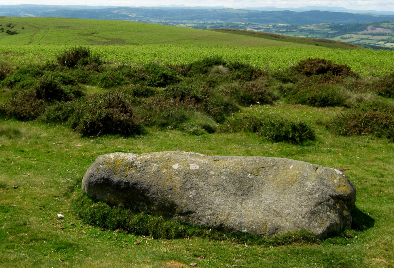 The ‘Cow Stone’ at Mitchell’s Fold 