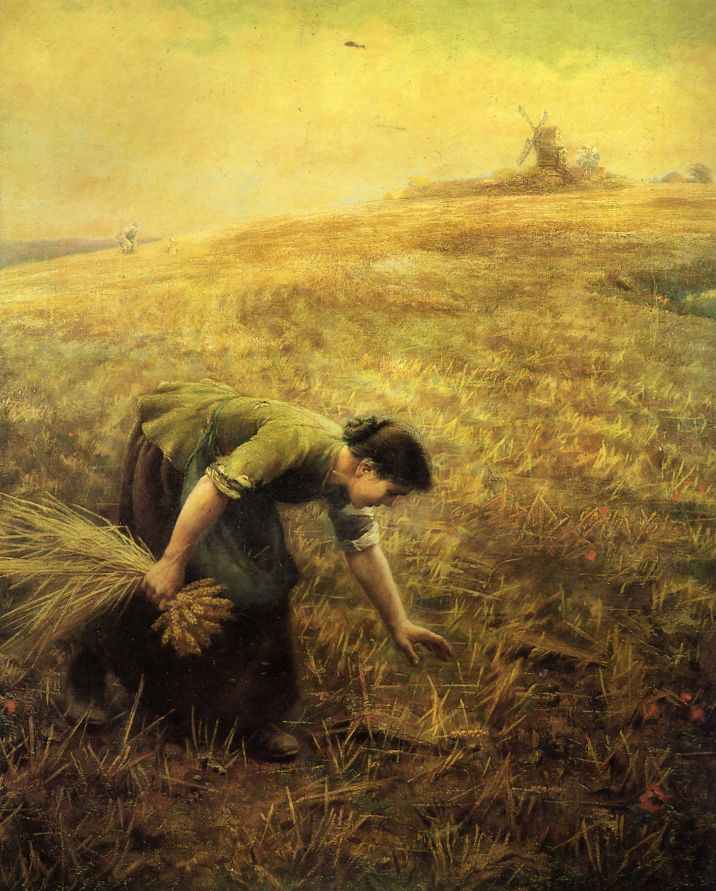 A woman bending in a field, gleaning corn.