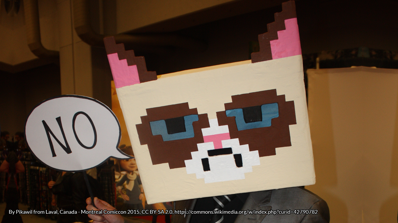 Person wearing a pixelated 'Grumpy Cat' mask, holding up a speech bubble saying 'No'.