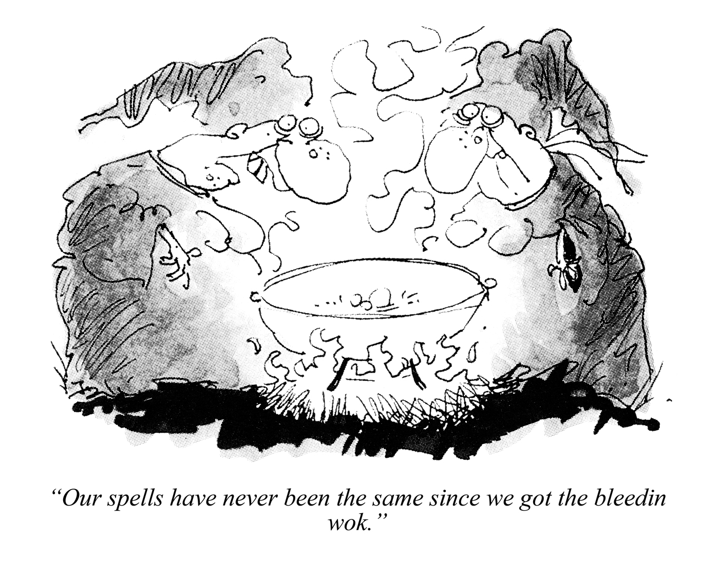 “Our spells have never been the same since we got the bleedin wok.” © Punch Ltd
