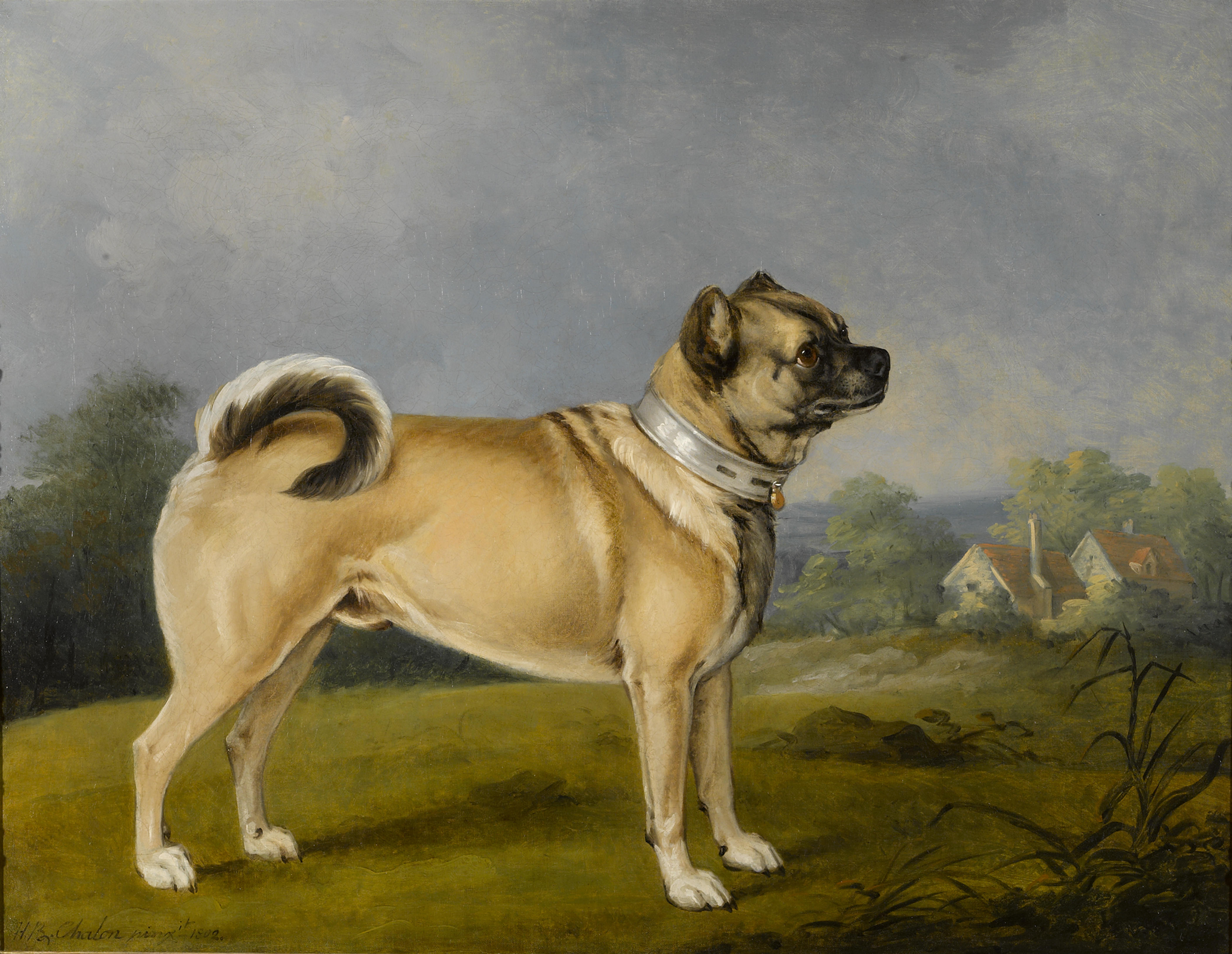 Pugs were believed to have healing abilities. A Favorite Pug by Henry Bernard Chalon, 1802. https://commons.wikimedia.org/wiki/File:Henry_Bernard_Chalon_-_A_favorite_pug_(1802).jpg