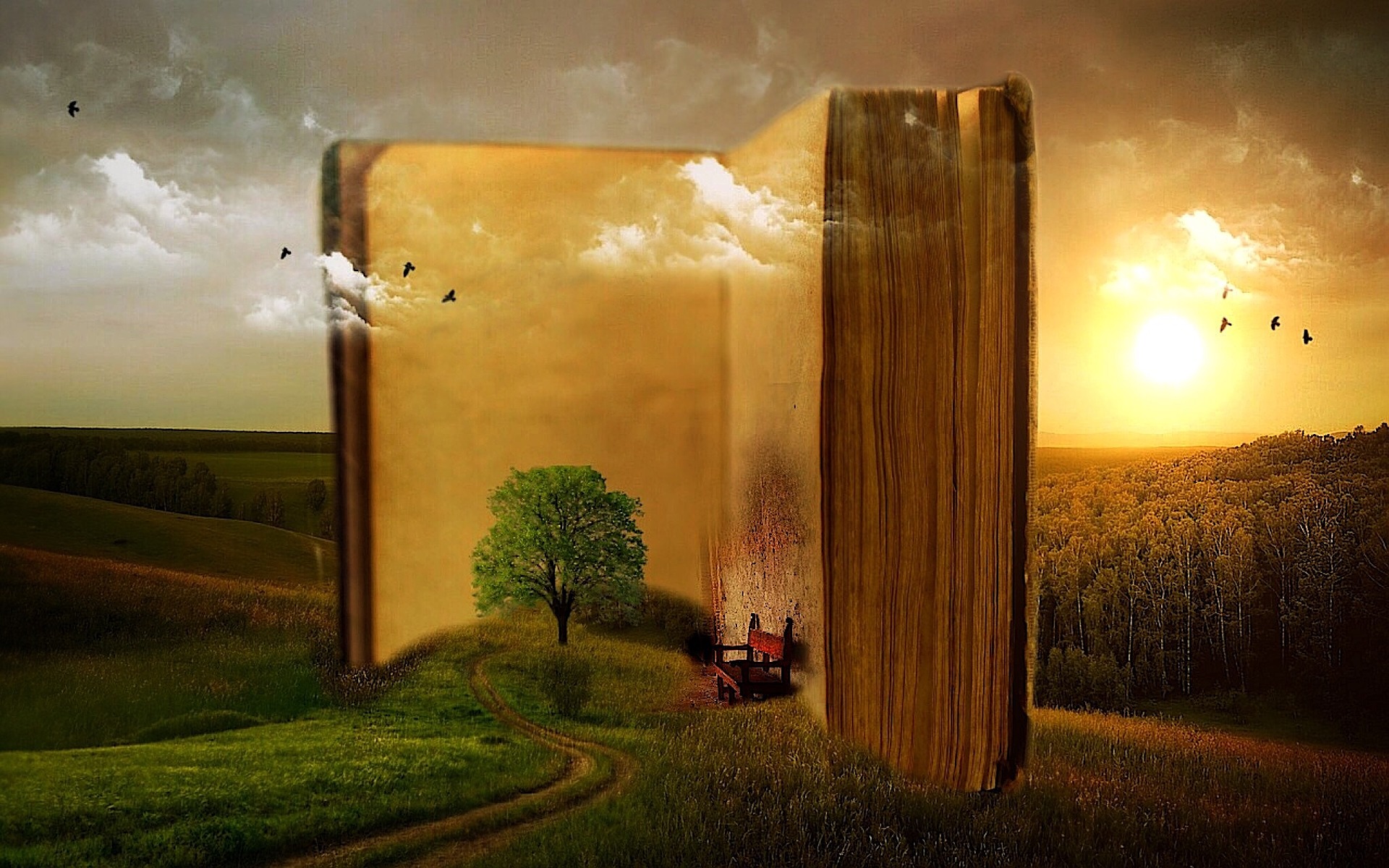 Field at sunset, with a giant book shielding a storytelling chair Mysticsartdesign (CC0) https://pixabay.com/en/book-old-clouds-tree-birds-bank-863418/