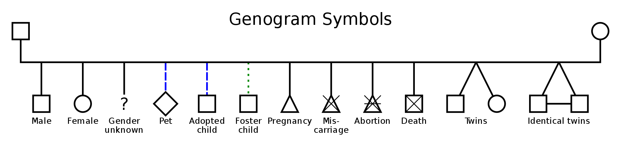 Genogram symbols