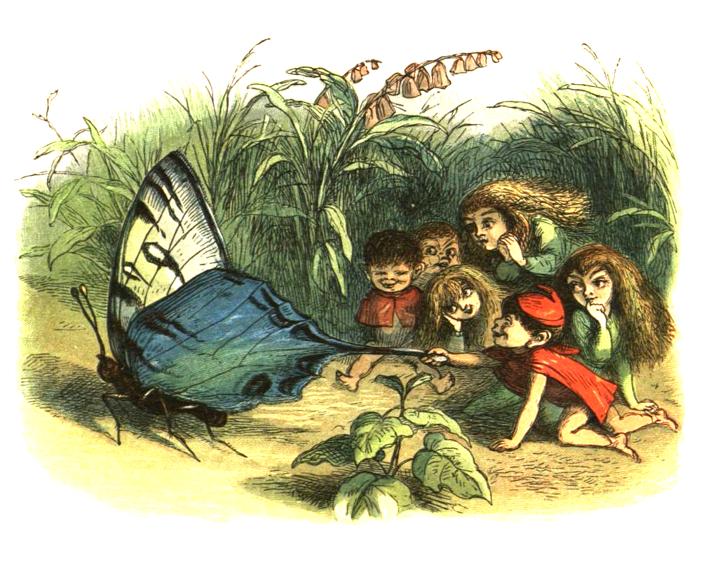 Colourful prints in children’s books helped reinforce the cute, miniature fairy in popular culture. Dicky Doyle, ‘In Fairyland’ https://upload.wikimedia.org/wikipedia/commons/6/6d/PrincessNobody-08.png