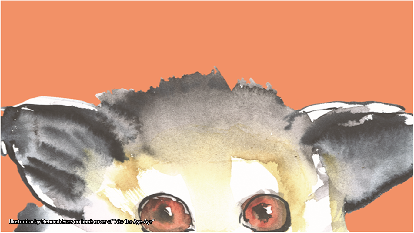 Ako is the name of an aye-aye in the children’s book written to combat harmful folklore in Madagascar. Illustration by Deborah Ross on book cover of “Ako the Aye-Aye”.