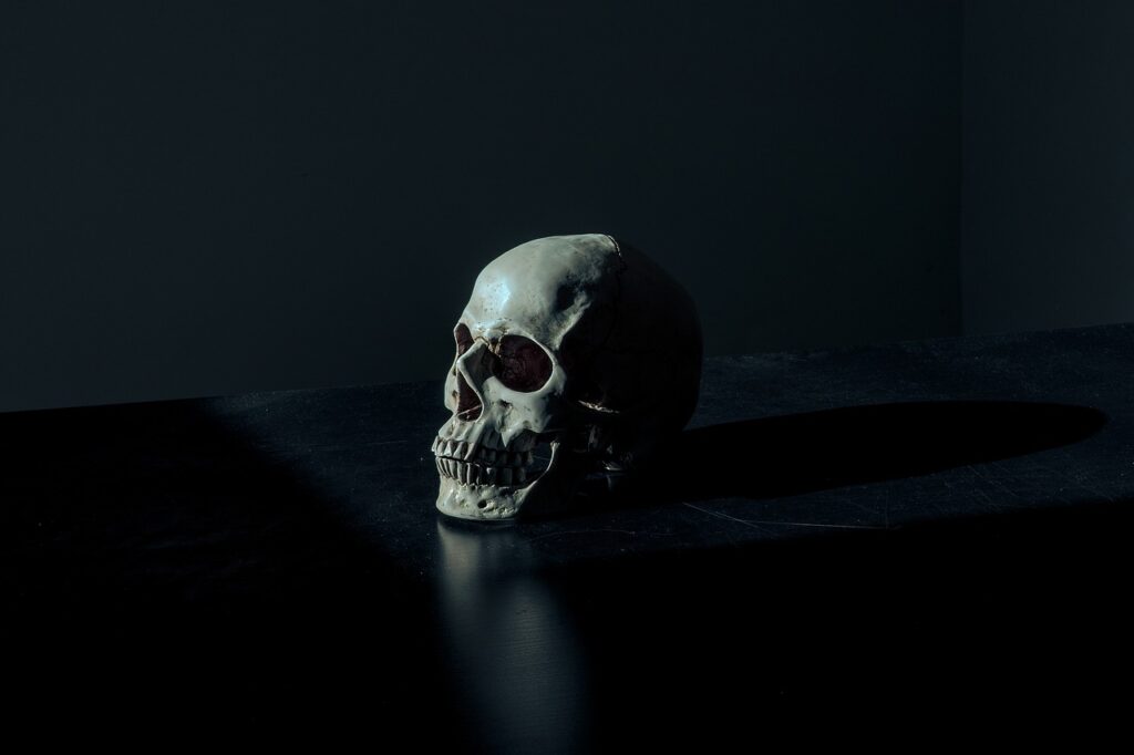 Skull on a table