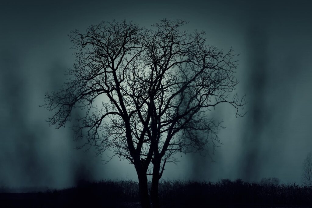 Tree against gloomy sky