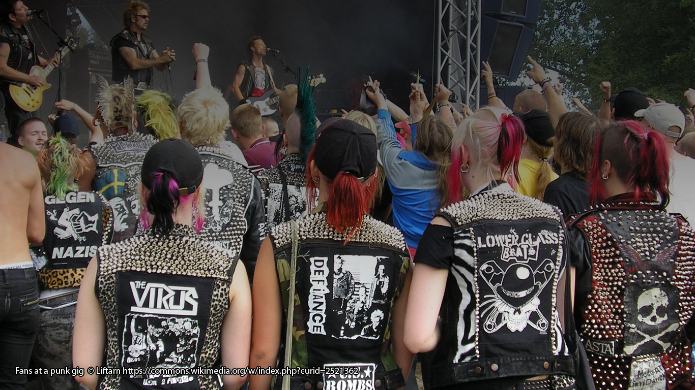 Fans at a punk gig © Liftarn https://commons.wikimedia.org/w/index.php?curid=2521362