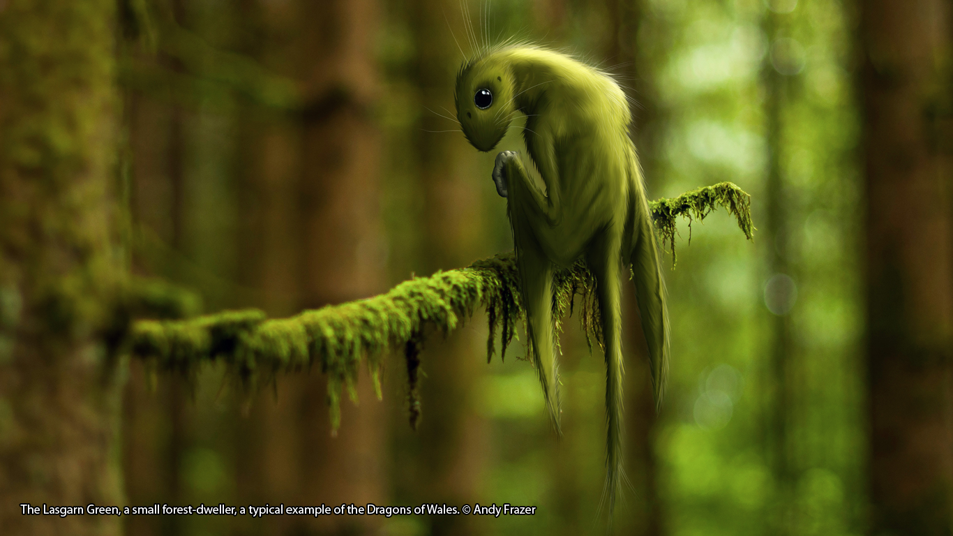 The Lasgarn Green – a small forest-dweller, a typical example of the Dragons of Wales. Andy Frazer