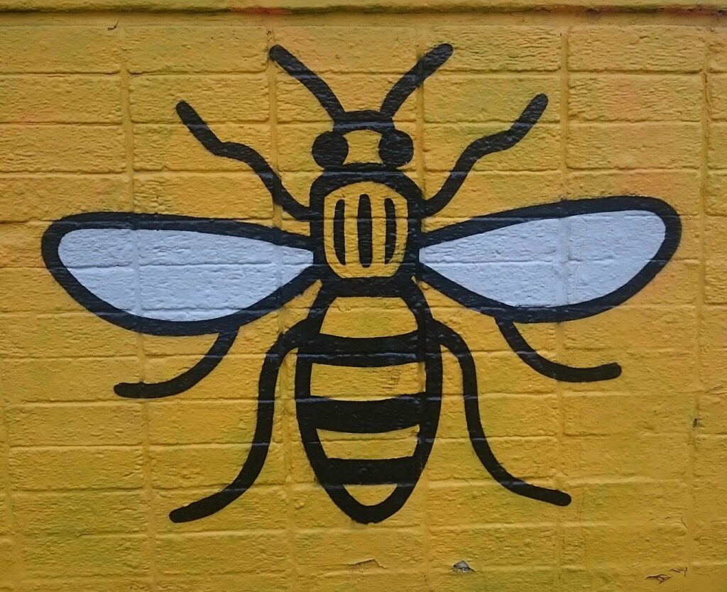 Street art bee, from Manchester, by Duncan.Hull - Own work, CC BY-SA 3.0, https://commons.wikimedia.org/w/index.php?curid=62555795