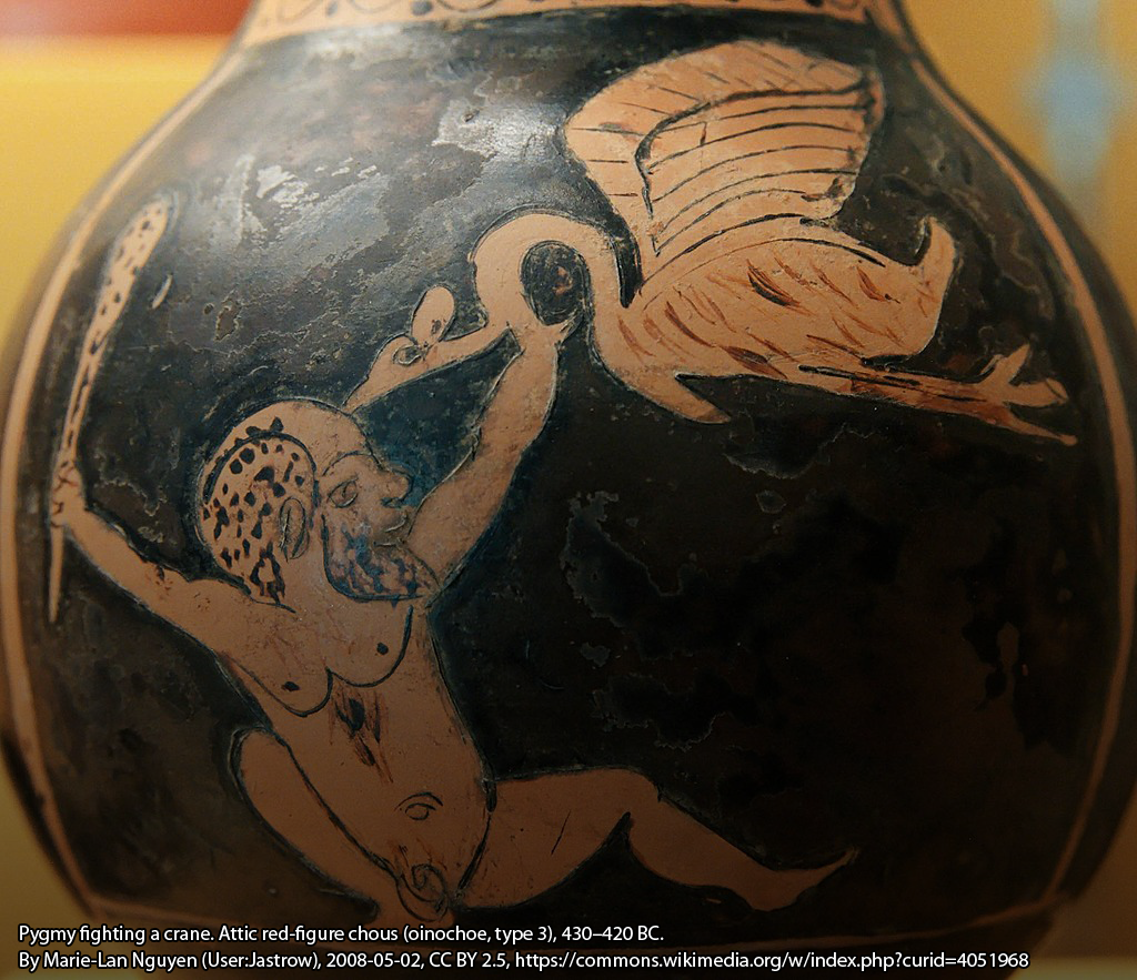 Pygmy fighting a crane. Attic red-figure chous (oinochoe, type 3), 430–420 BC. By Marie-Lan Nguyen (User:Jastrow), 2008-05-02, CC BY 2.5, https://commons.wikimedia.org/w/index.php?curid=4051968