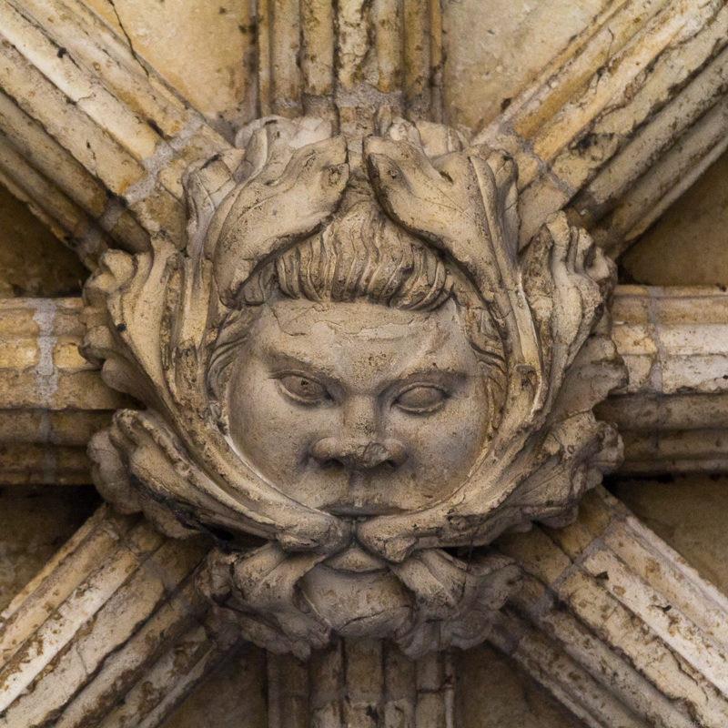 Green man in Norwich Cathedral, East Anglia, England. By DietG - Own work, CC BY-SA 3.0, https://commons.wikimedia.org/w/index.php?curid=31181494