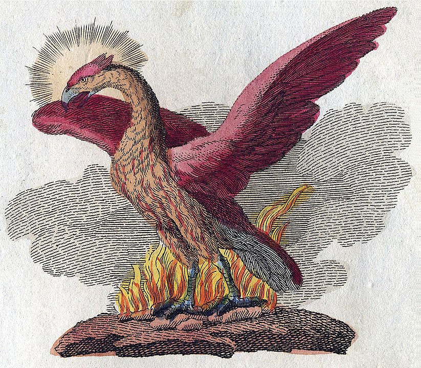 Phoenix rising. By Bertuch-fabelwesen, Public Domain https://commons.wikimedia.org/w/index.php?curid=7038417