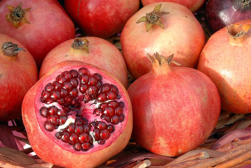 The pomegranate – legendary source of our growing seasons.