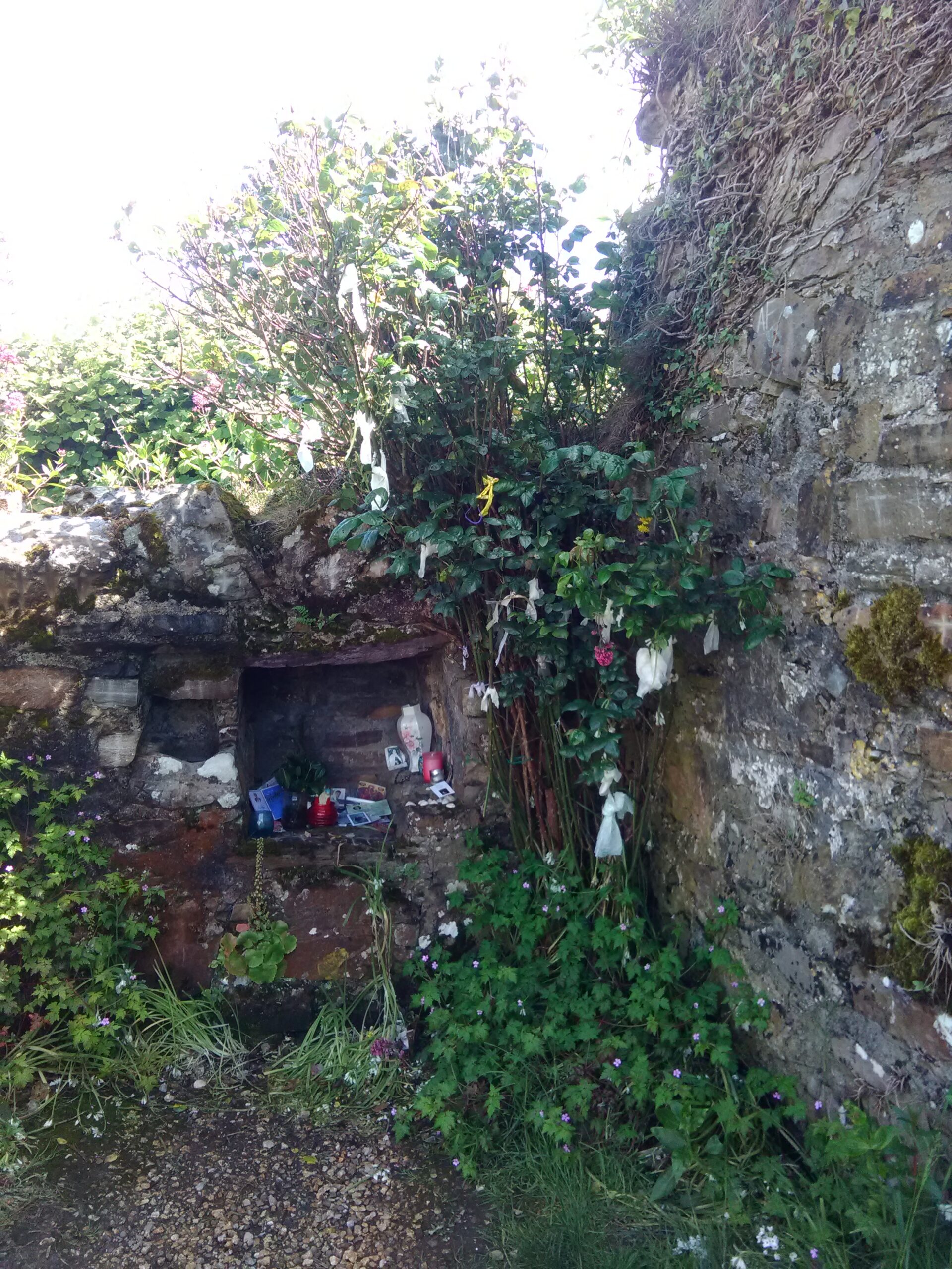 Offerings and rag tree near St Declan’s Well, Co. Waterford, by Conchúr Mag Eacháin (photographer).