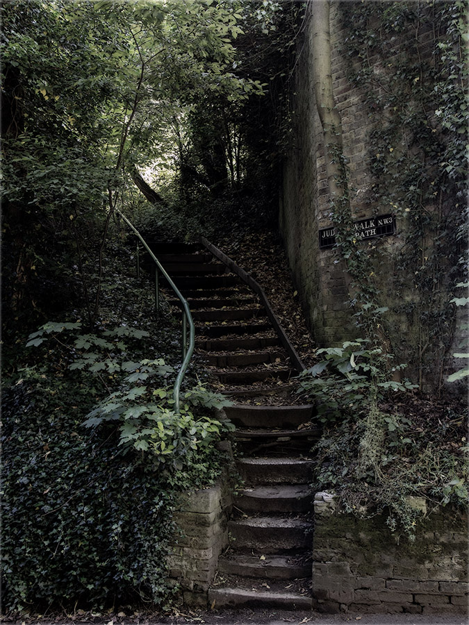 Steps leading into the trees